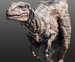 Dinosaur Exhibition Manufacturer – Aurora Dinosaur Studio