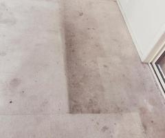 Need Professional Carpet Cleaning in Adelaide? We’ve Got You Covered