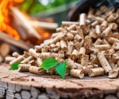 Eco-Friendly Bio Solutions for a Sustainable Future