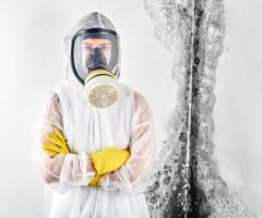 Mold Inspection Miami