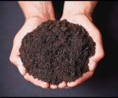 Premium Triple Mix Soil Supplier in Kitchener, CA | Dirtcheap