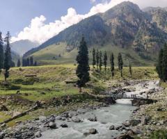 Explore the Beauty of Tarsar Marsar Lake Trek with Himalayan Daredevils