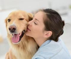 Seattle Pet Transportation by Dog Gone Taxi