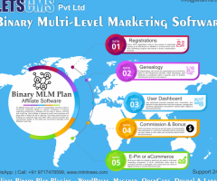 Affiliate Binary Plan | Binary MLM Software Customization | Binary Network Marketing Software