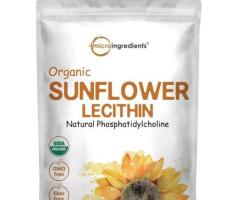 Soya lecithin powder supplier in India | Lecilite Ingredients