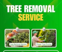 Professional & Safe Tree Removal Service Adelaide – Adelaide Tree Removals