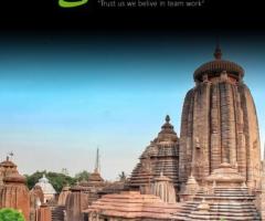 Best Detective Services in Bhubaneswar - Lady Detectives India