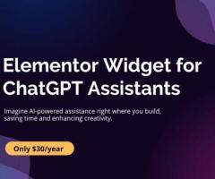Boost Elementor with ChatGPT Assistant Widget by Josh Thompson