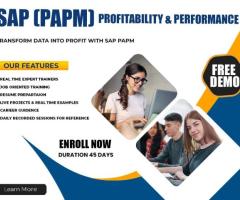 SAP PaPM Training in Ameerpet | Online Course Guide