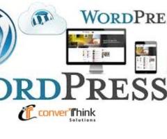 Pro WordPress Services