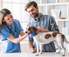 Book Trusted Veterinary Care in Mississauga – We Treat Pets Like Family!