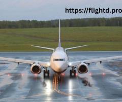 Low Priced Statue of Liberty Flight with Flightd Deals for NYC Visitors