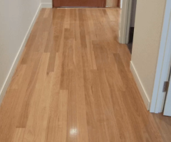 Best Timber Flooring in Brighton