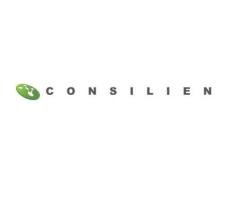 Consilien - Managed IT Consulting Services California