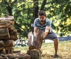 Professional Tree Service Howard County – Free Estimates