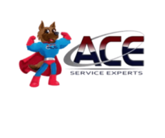 ACE Service Experts