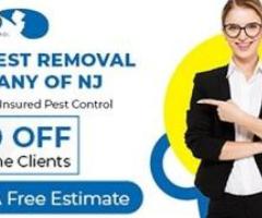 Transparent Pest Control Cost NJ – Get Quality Service Today