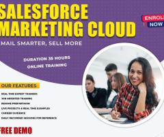 Top Salesforce Marketing Cloud Training in Hyderabad
