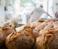 Freshly Milled Organic Bread Bakery in Palm Springs