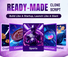 Build Less, Launch More — Affordable Ready-Made Clone Scripts by Dappsfirm