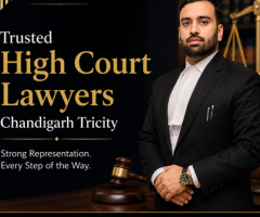 High Court Lawyers in Chandigarh