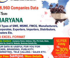 77 Data: Download the List of SMEs Companies in Haryana in 2025