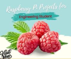 Explore Innovative Raspberry Pi Projects for Engineering Students
