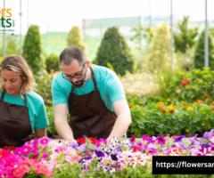 Trusted New Jersey Flower Growers Delivering Fresh Blooms
