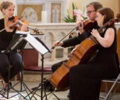 Romantic Wedding String Quartet by String Musicians Australia