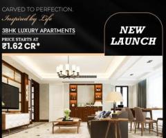Where Luxury Takes Root Welcome to ACE VERDE