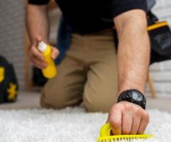 Excellent Carpet cleaning Brisbane - Ezydry