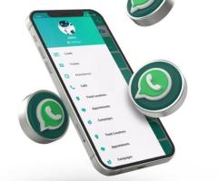 WhatsApp Business API | Automate Your Business - RSoft