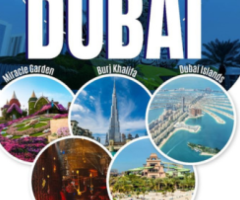 Dubai Museums You Must Visit At Least Once in Your Lifetime