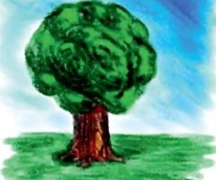ESG Consulting Services in India
