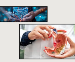 Liver Transplant Guidance from the Best Liver Doctor in Jaipur