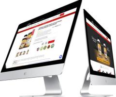 Shopify Website Designing Agency in Delhi | ORM Service In Delhi