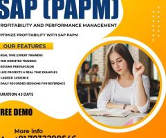 SAP PaPM Training | Best Course in Hyderabad at Visualpath