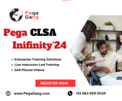 Pega Certified Lead System Architect Infinity'24 Online Training | PegaGang