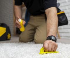 Professional Carpet Cleaning Services in Adelaide