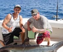 Looking to Book Puerto Vallarta Tours