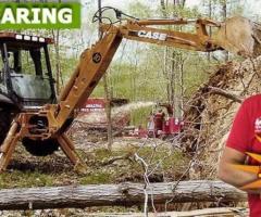 Lot Clearing in Passaic County, NJ – Amazing Tree Services