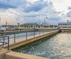 CWS Waterproofing: Why Choose Us for Durable, Leak-Free Projects