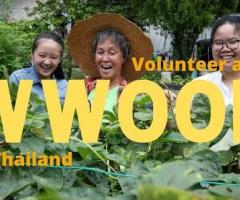Volunteer Education Program Thailand