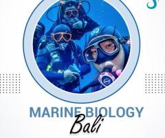 Marine biology bali