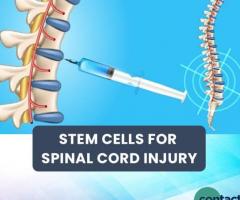 Stem Cell Treatment For Spinal Cord Injury