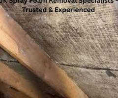 Complete Spray Foam Insulation Removal!