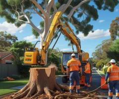 Professional Tree and Stump Removal Adelaide – Safe, Fast & Affordable