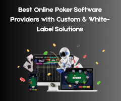 Best Online Poker Software Providers with Custom & White-Label Solutions