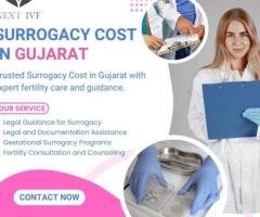 Surrogacy Cost in Gujarat