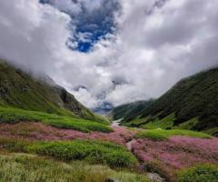 Valley of Flowers: A Paradise of Blooms in India